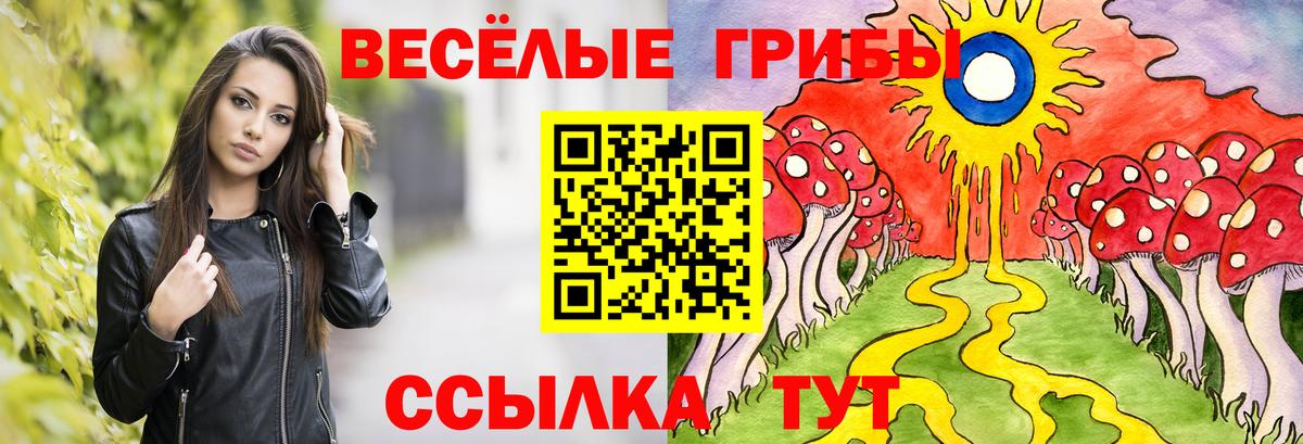 Галлюциногенные грибы Cubensis  Галлюциногенные грибы прущие грибы  Карачаевск  Вход с VPN 